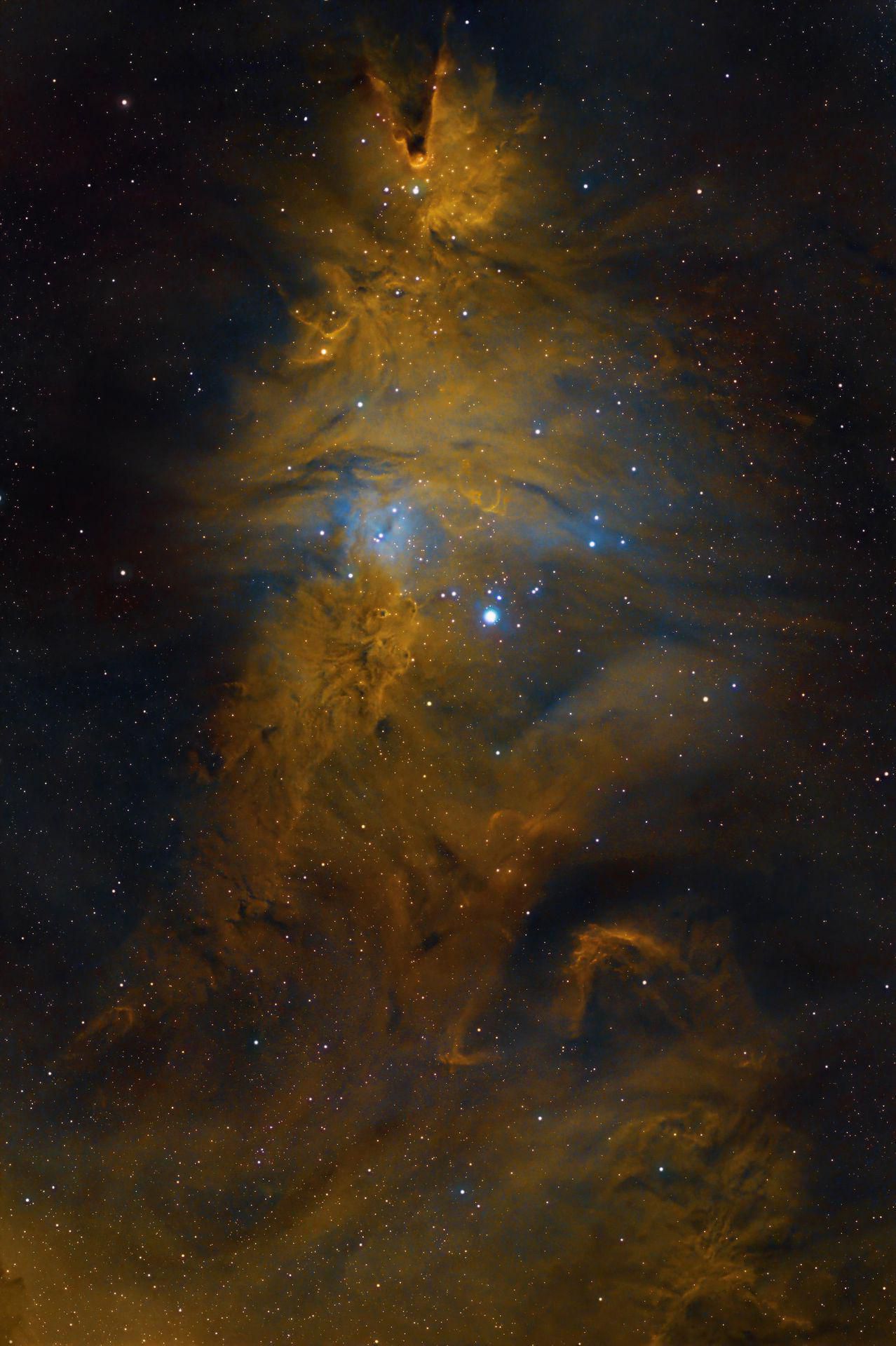 Christmas Tree Cluster