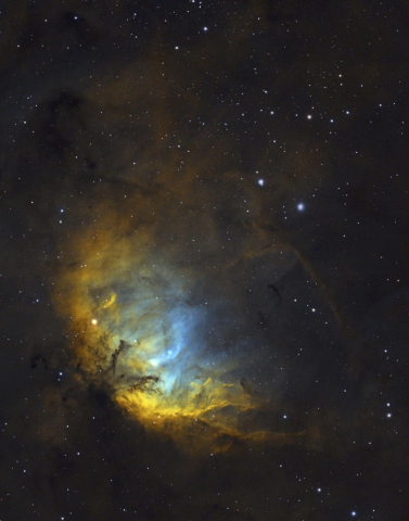 SH2-101 Tulip Nebula